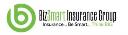 BizSmart Contractors Insurance Services logo